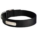 Nylon-Dog-Collar-With-ID-Plate (1)